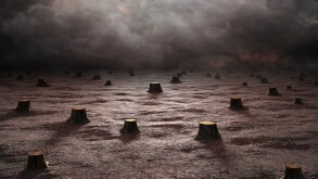 Deforested landscape 