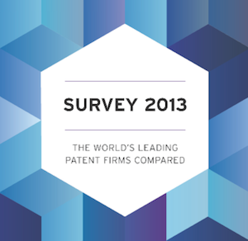 MIP survey 2013