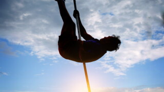 Pole vault.jpg