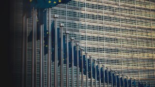 Line of EU flags