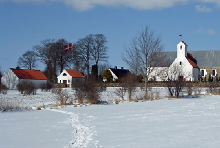 Snowy Danish countryside