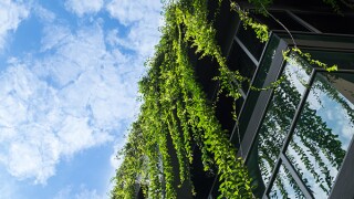 morais-leito1-adobestock-206679241.jpg
