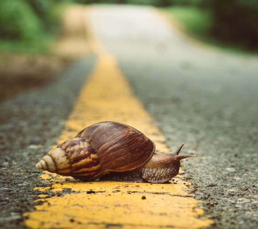 slow