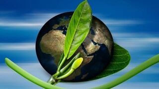 The future role of green taxes will be more relevant than ever