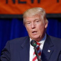 trumpp large