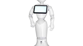 automating-tp.jpg