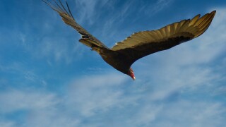 LATAM ITR 2022 Editorial Cover Image.jpg