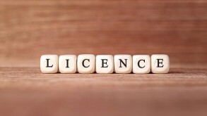 Word LICENCE made with wood building blocks