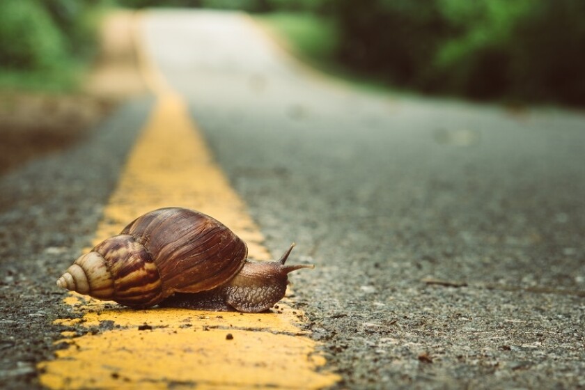sluggish