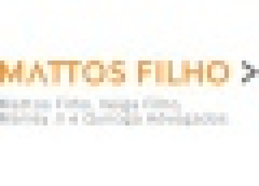 mattos-filho.jpg