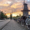 bikes large