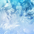 frozen