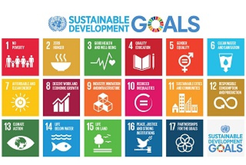 UN SDGs