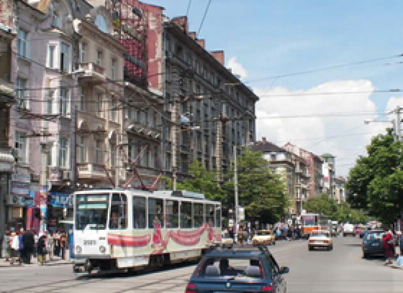 sofia2.jpg