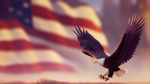3D rendered American Bald Eagle with cute kawaii look like moder