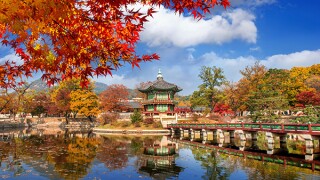shin-kim-adobestock-290649805.jpg