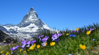 Cover image.jpg