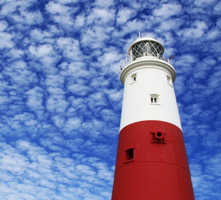 There is a definite appetite for Active Matters in the TLI market