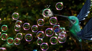 soap-bubbles-3550705.jpg