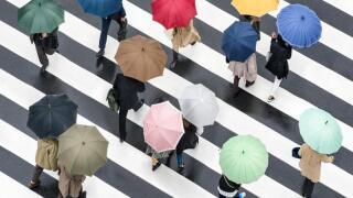adobestock-90490768.jpeg
