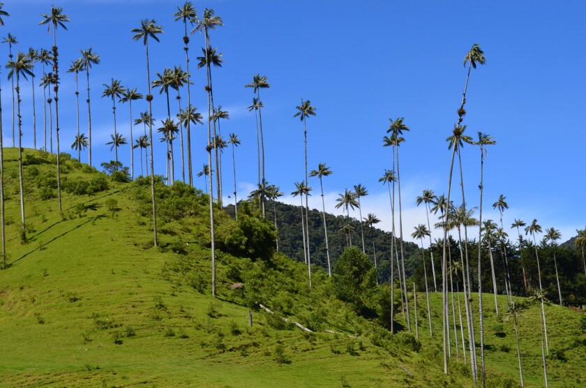 Cover image.jpg