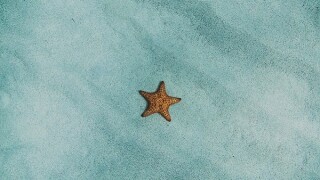 amy-humphries-2m-sdj-agvs-unsplash.jpg