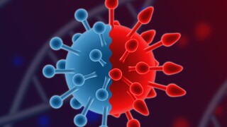 5chevez-adobestock-446660890.jpg