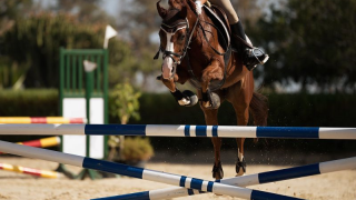 horsehurdle