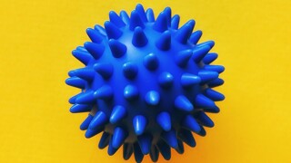 editorial-adobestock-345339025.jpg