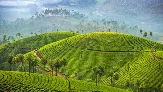 cyril-amarchand-mangaldas-adobestock-128576315.jpg