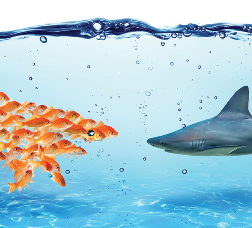 Cooperative compliance and early disclosures can keep the calm