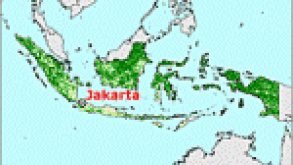 indonesia150.gif