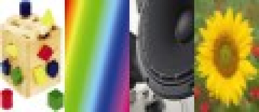 shapecolsoundsmell-puff-nov05.jpg