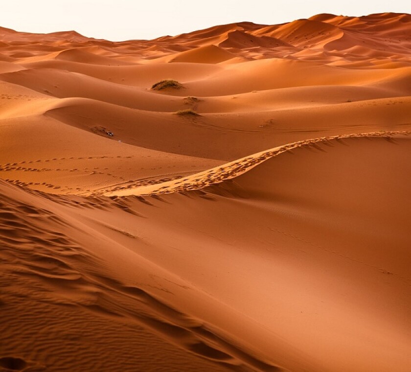 desert-sand 630 x 570