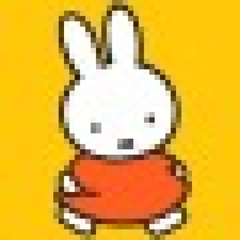 miffy1-45.jpg