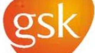 gsk150.jpg