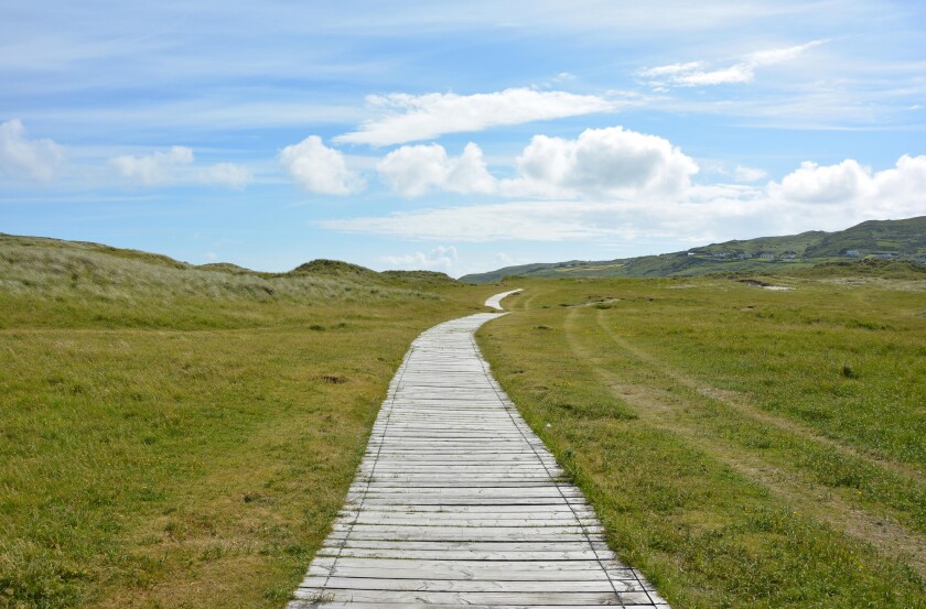 path-1495685.jpg