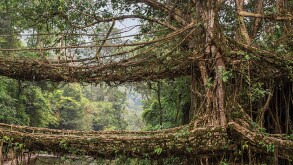 Forming a solid foundation today and nurturing diversity and inclusion will lead to a brighter tomorrow