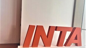 INTA 2023.jpeg