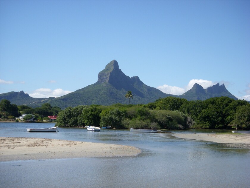 Cover image.jpg