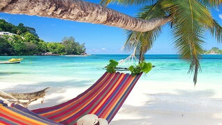 hammock