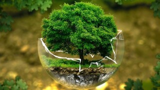 Tax can help protect the environment