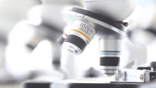 Set of microscopes standing in row in school chemist classroom