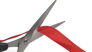 snip.jpg