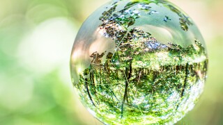 oecd-global-forum-utlines-whatnext-in-the-tax-transparency-revolution.jpg