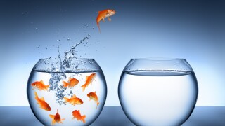 goldfish jumping - improvement and career concept
