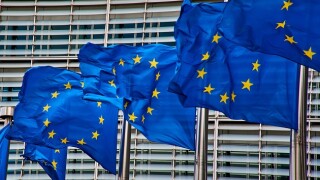 Tax professionals call for EU harmonisation and proportionate data use