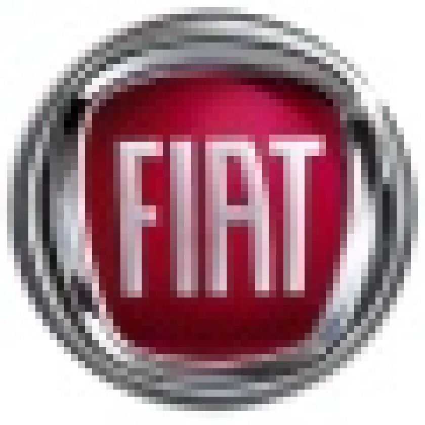 fiat-logo.jpg