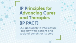 ip-pact2.JPG