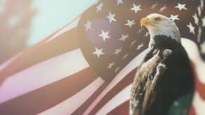 American Bald Eagle Flag Patriotism. Bald Eagle, symbol of Ameri